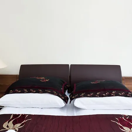 - Czajki, Sun & Snow * Kościelisko