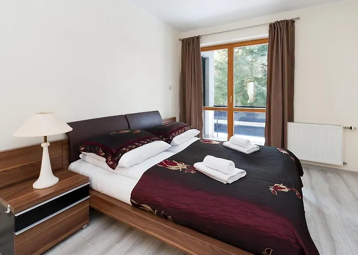 - Czajki, Sun & Snow *