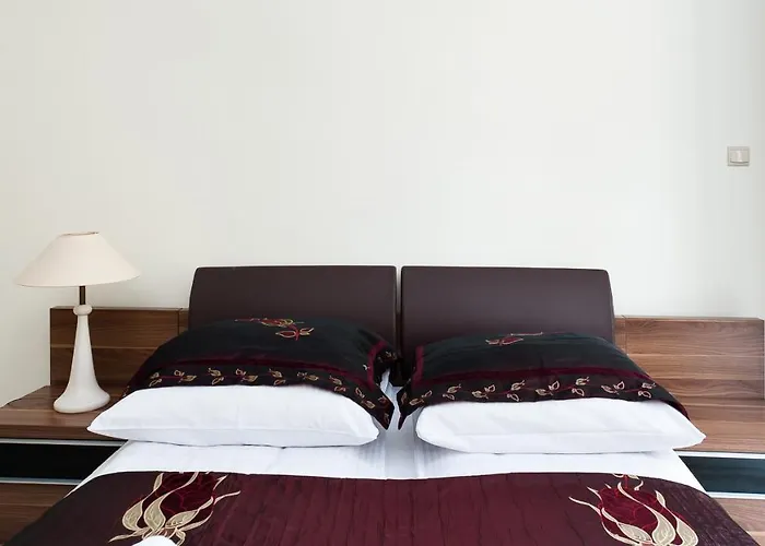 - Czajki, Sun & Snow * Kościelisko